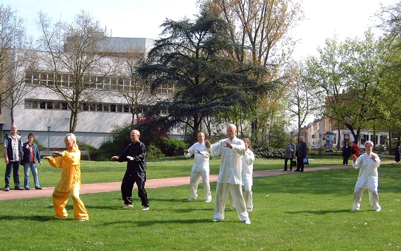 10. Welt Tai Chi und Qi Gong Tag am 26. April 2008 in Aschaffenburg im Park Sch&ouml;ntal am blauen Klavier