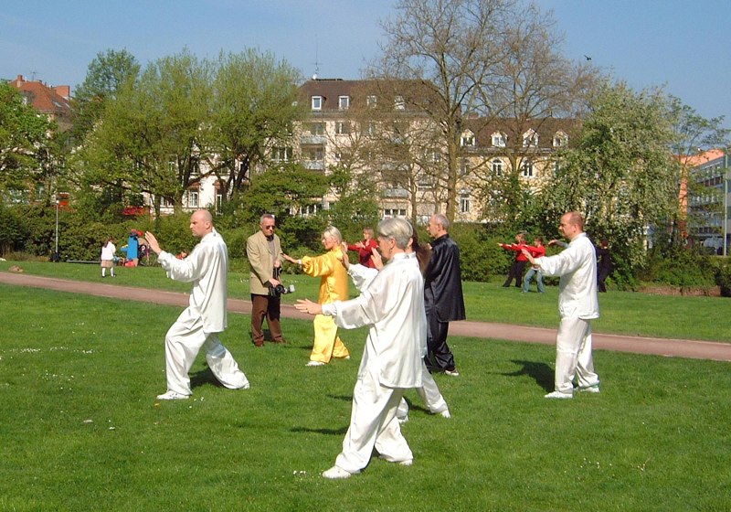 World Tai Chi Day 2008 in Aschaffenburg im Park Sch&ouml;ntal am blauen Klavier