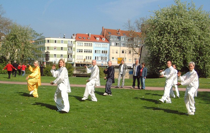 10. Welt Tai Chi und Qi Gong Tag am 26. April 2008 in Aschaffenburg im Park Sch&ouml;ntal am blauen Klavier