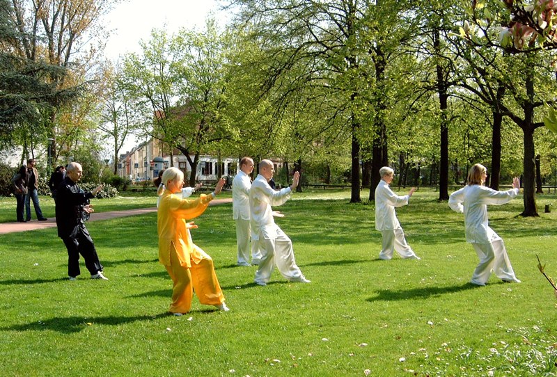 Welt Tai Chi Tag 2008 in Aschaffenburg im Park Sch&ouml;ntal am blauen Klavier