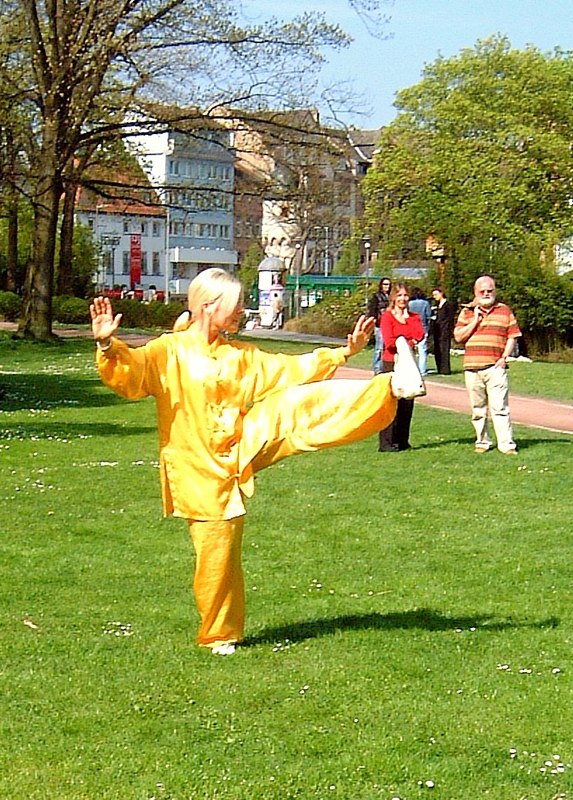 Welt Tai Chi Tag in Aschaffenburg im Park Sch&ouml;ntal am blauen Klavier