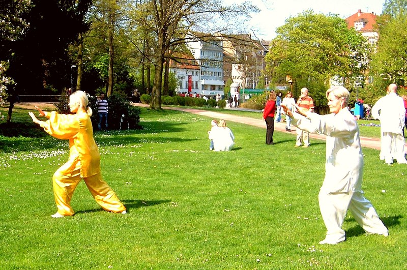 10. Welt Tai Chi und Qi Gong Tag am 26. April 2008 in Aschaffenburg im Park Sch&ouml;ntal am blauen Klavier