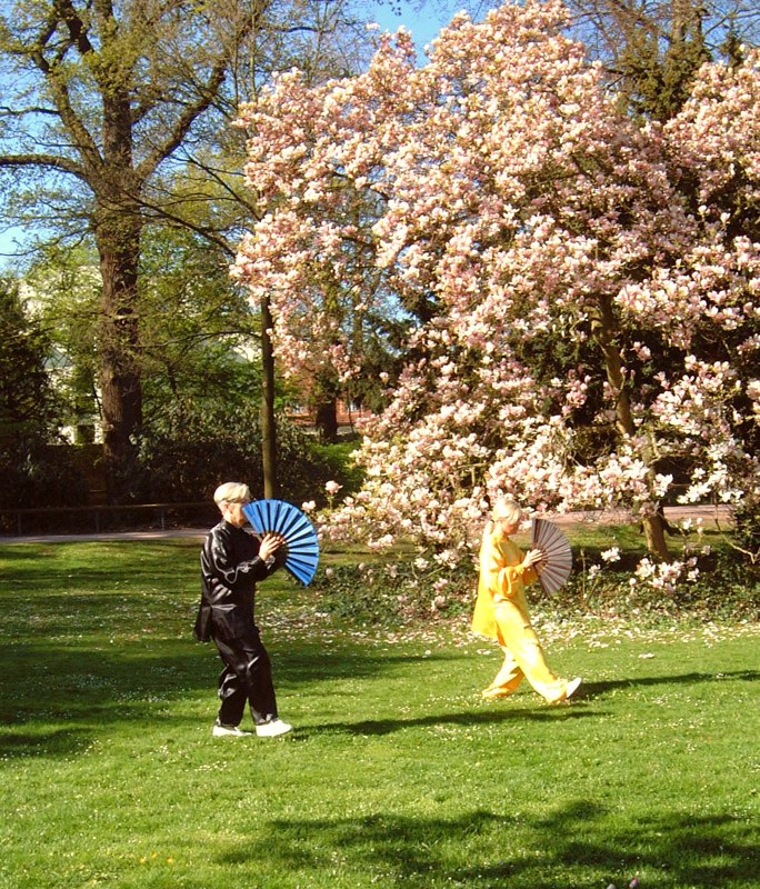 Haltungsanalyse und Haltungsschule 12. Welt Tai Chi und Qi Gong Tag am 24 April 2010 in Aschaffenburg