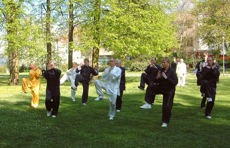 12. Welt Tai Chi und Qi Gong Tag am 24 April 2010 in Aschaffenburg