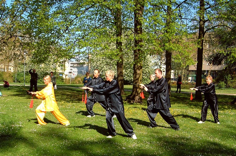 12. Welt Tai Chi und Qi Gong Tag am 24 April 2010 in Aschaffenburg