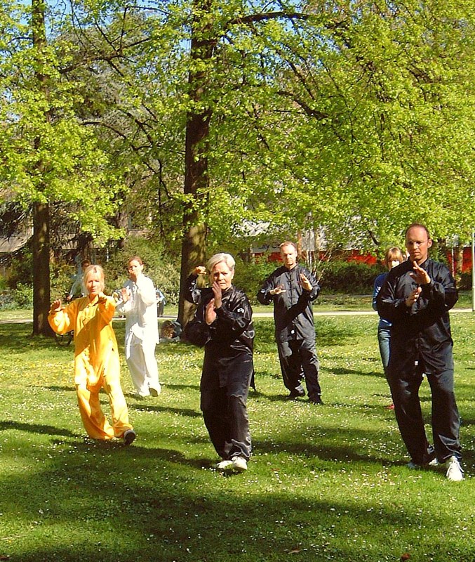 12. Welt Tai Chi und Qi Gong Tag am 24 April 2010 in Aschaffenburg
