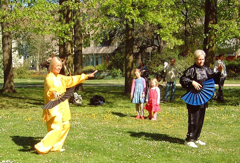 12. Welt Tai Chi und Qi Gong Tag am 24 April 2010 in Aschaffenburg