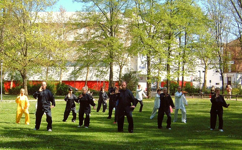 12. Welt Tai Chi und Qi Gong Tag am 24 April 2010 in Aschaffenburg
