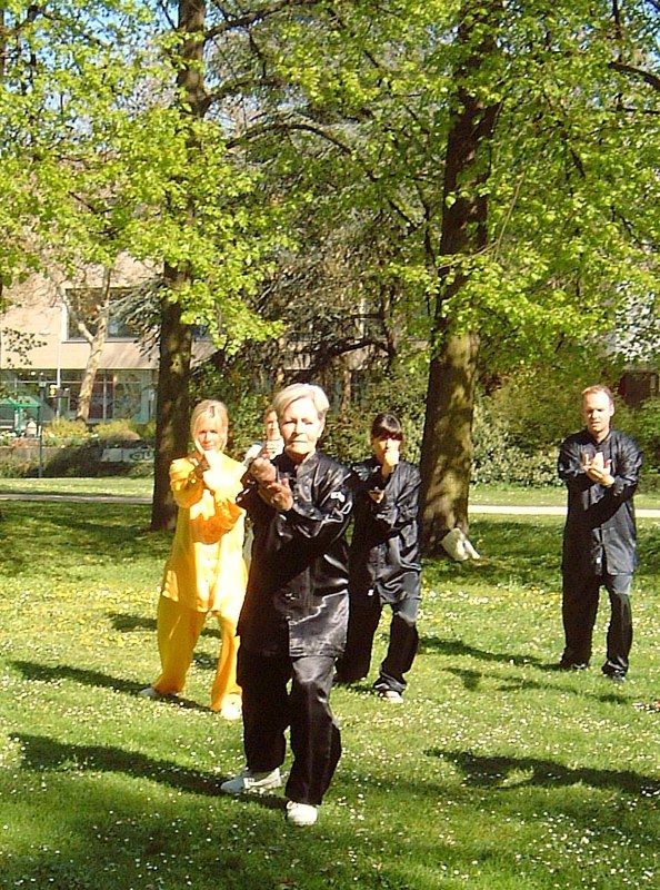 World Tai Chi and Qi Gong Day 2010 in Aschaffenburg