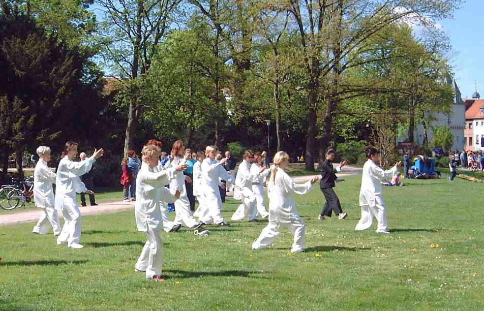 6. Welt Tai Chi und Qi Gong Tag am 24. April 2004 in Aschaffenburg im Park Sch&ouml;ntal
