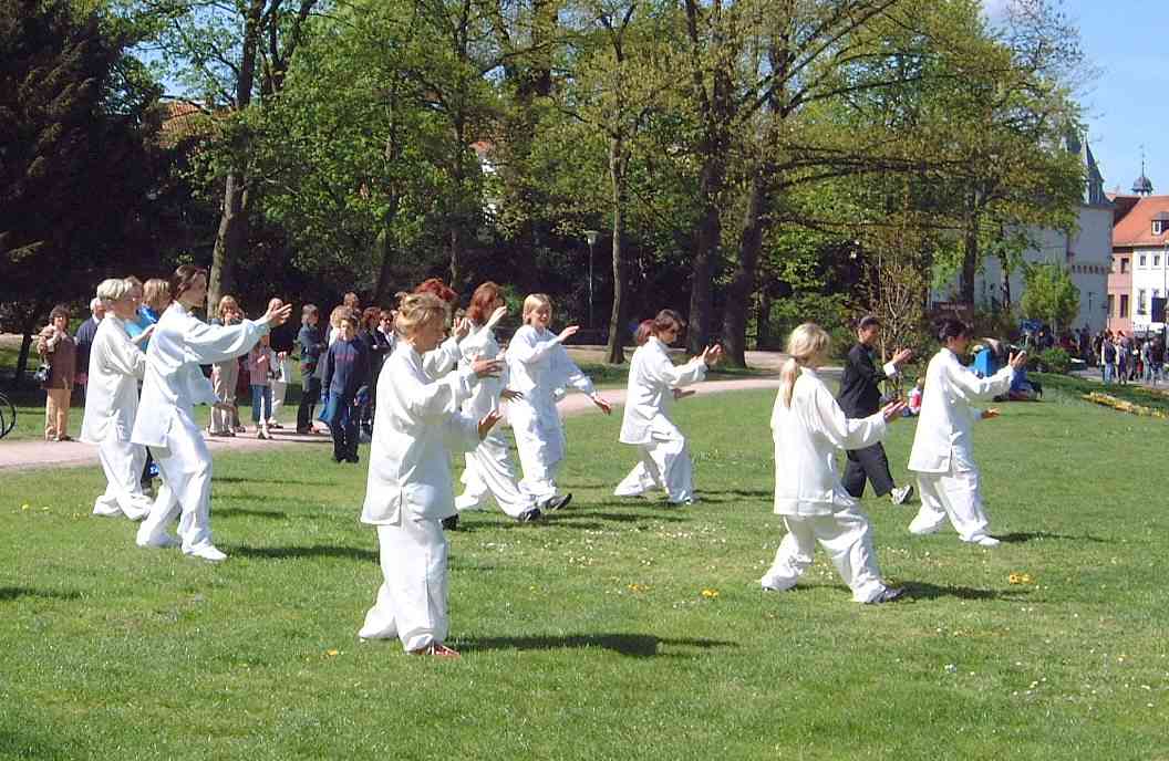 World Tai Chi and Qi Gong Day 2004 in Aschaffenburg