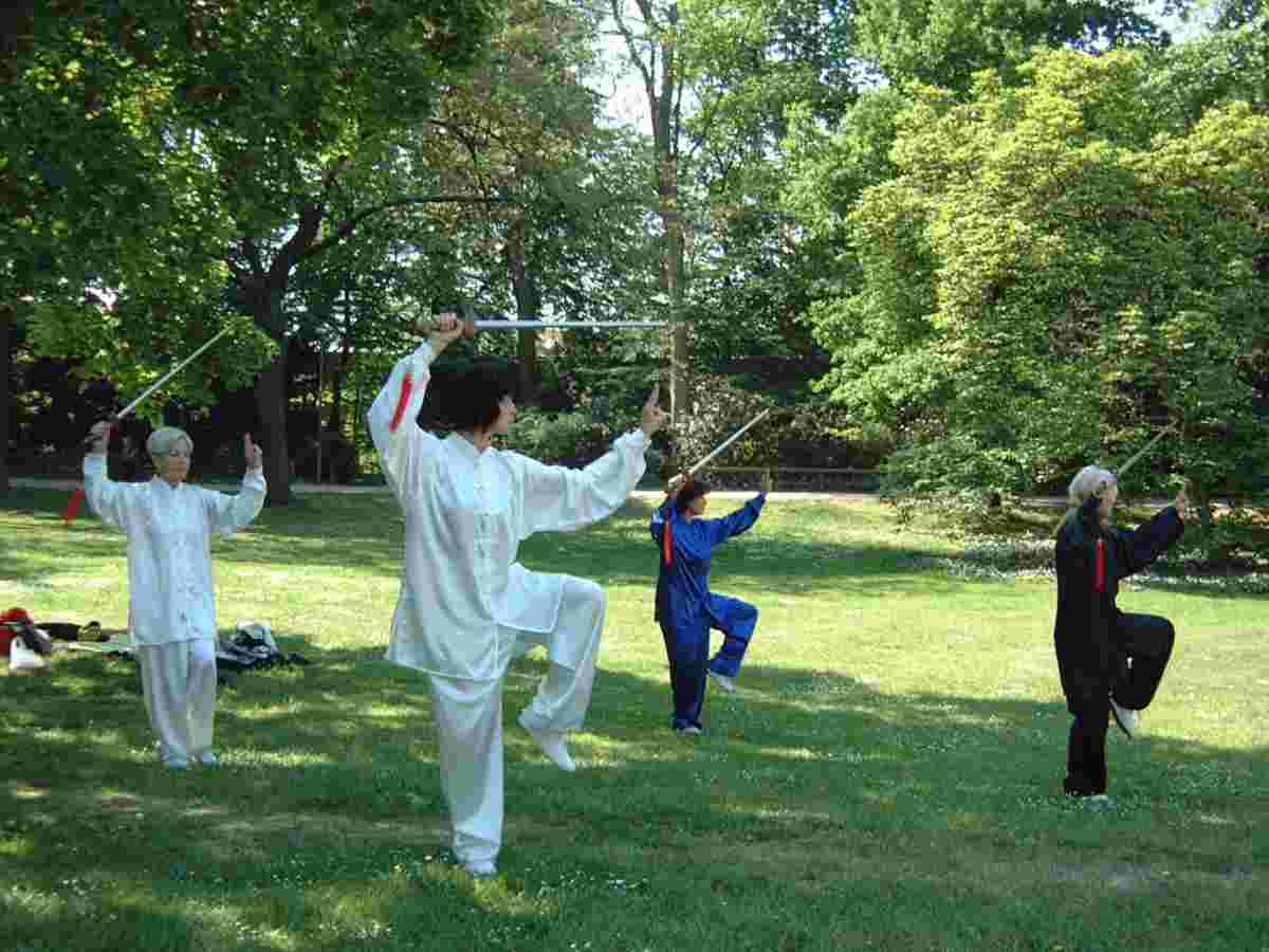Welt Tai Chi und Qi Gong Tag 2007 in Aschaffenburg