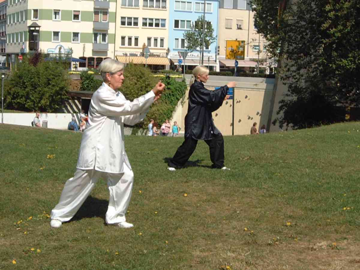 Tai Chi Qi Gong 24 Form in Aschaffenburg