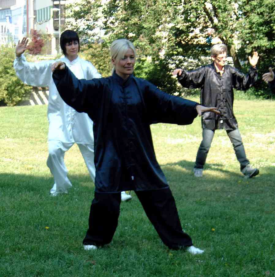 World Tai Chi and Qi Gong Day 2007 in Aschaffenburg