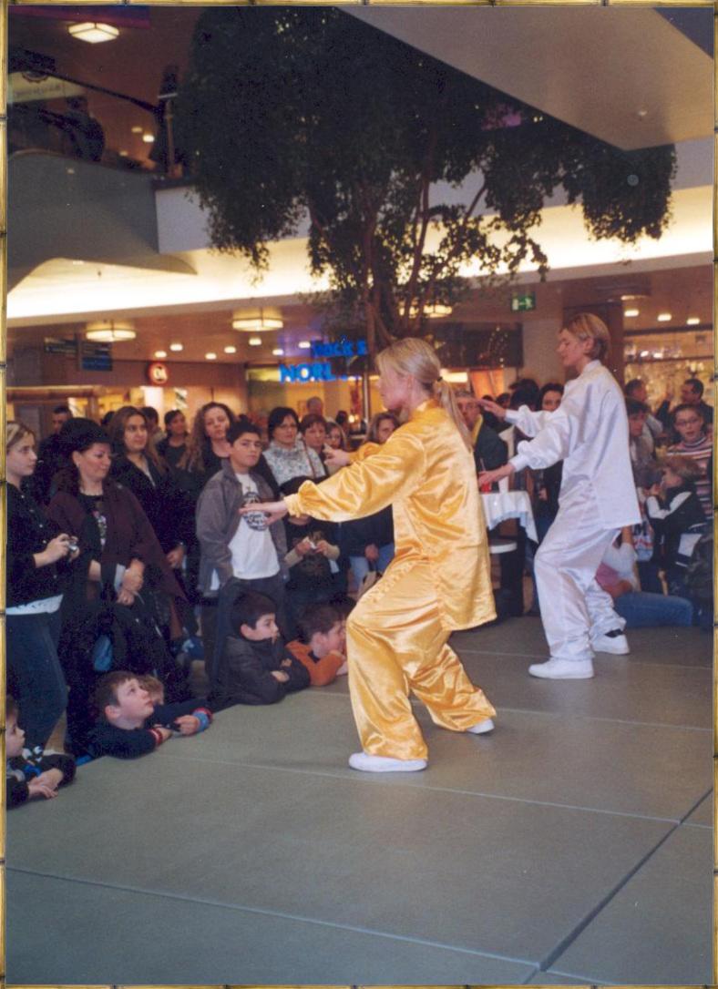 Tai Chi. Gesundheitstage City Galerie Aschaffenburg im Februar 2004 - gerade K&ouml;rperhaltung keine R&uuml;ckenschmerzen mehr
