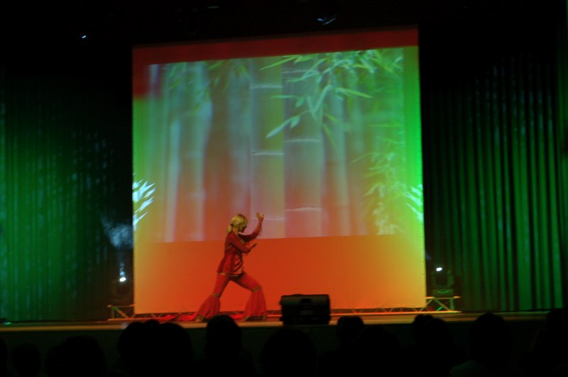Tai Chi Auff&uuml;hrung am 18.12.2008 in Joya's G&ouml;tterfunke, Maintalhalle, Kleinostheim