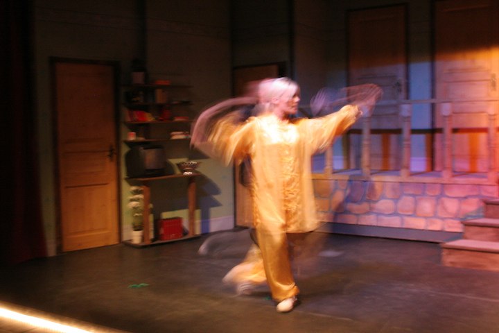 Tai Chi Er&ouml;ffnungsgala des Ludwigstheaters Aschaffenburg am 15.9.2007