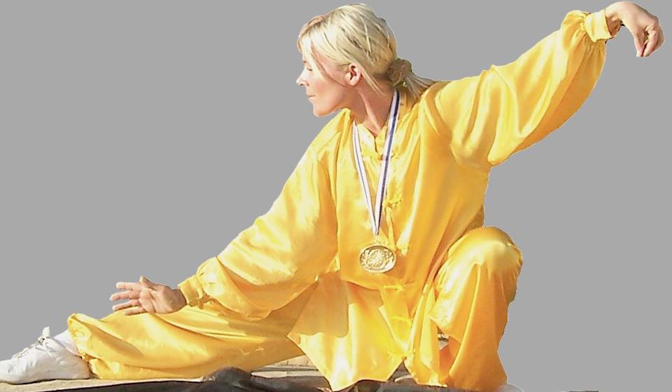 Aschaffenburg Tai Chi Qi Gong und Push-Hands mit der Weltmeisterin 2007. Ausbildung zum Qi Gong Lehrer in Aschaffenburg